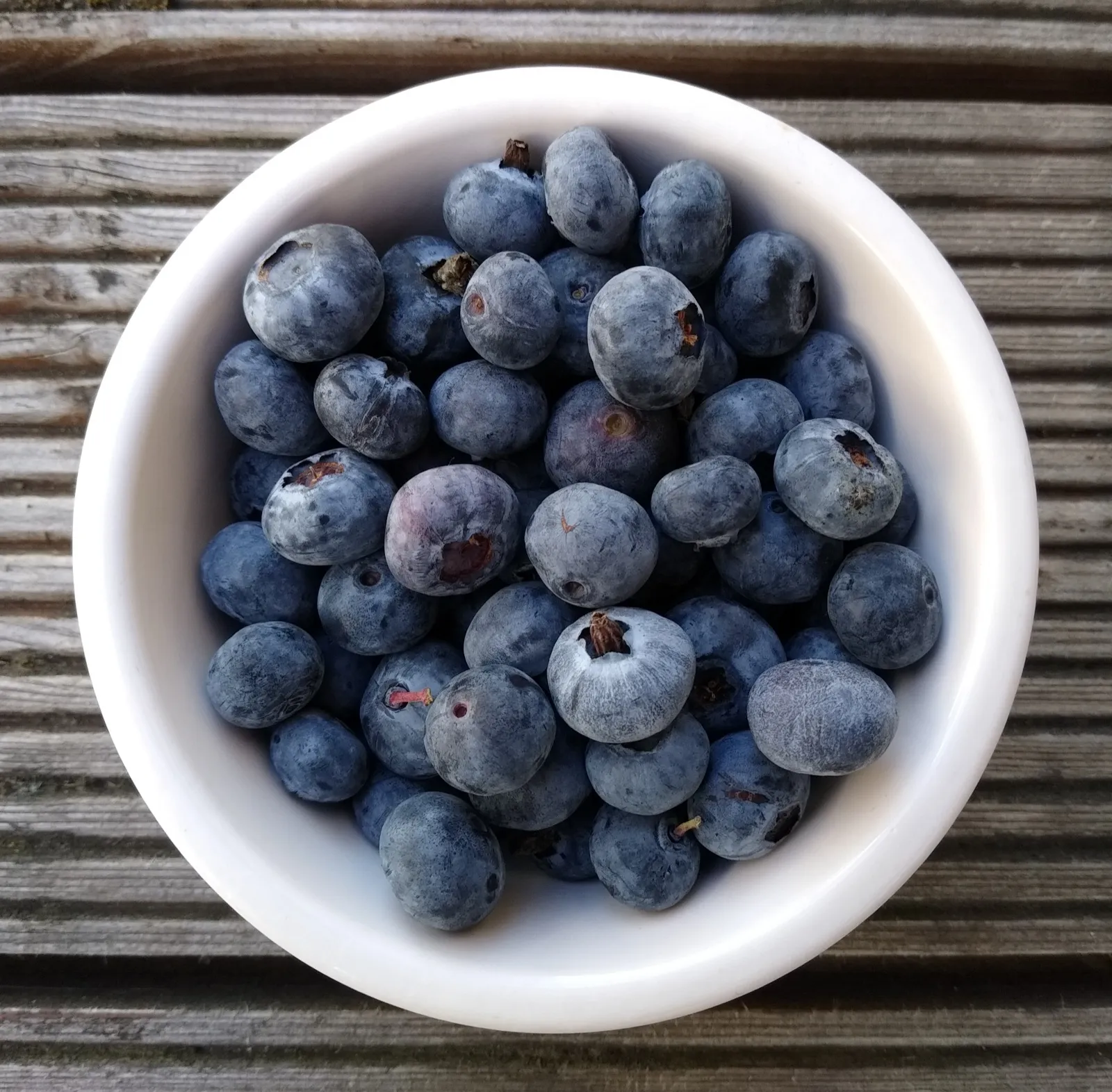A bowl of blueberries