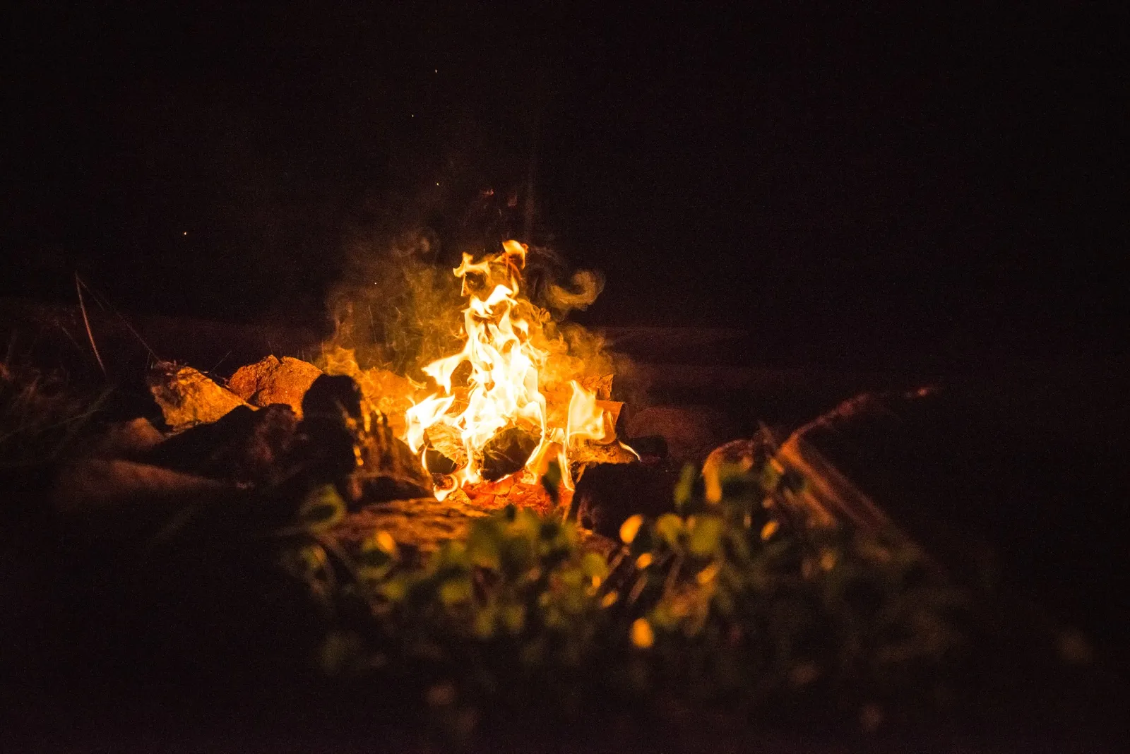 A small campfire at night