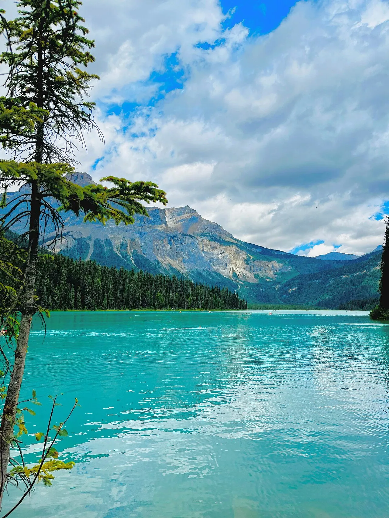 Turquoise water of Emerald Lake, Yoho National Park, under a forested mountain