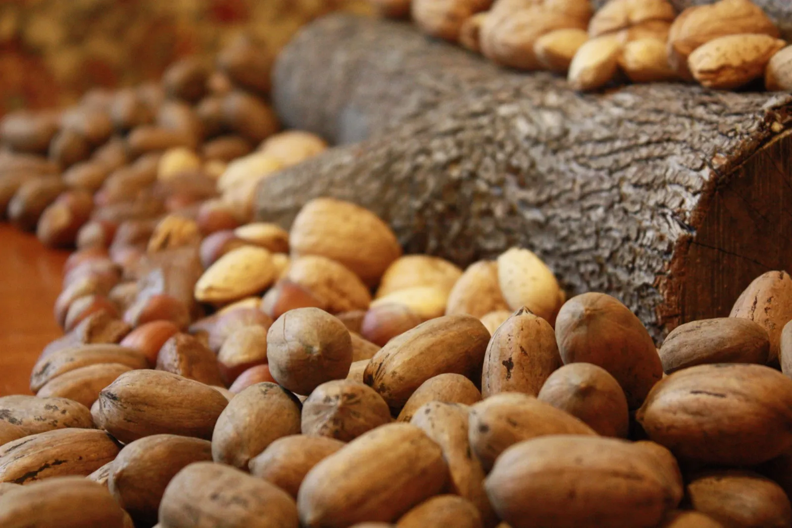 Mixed nuts in their shells