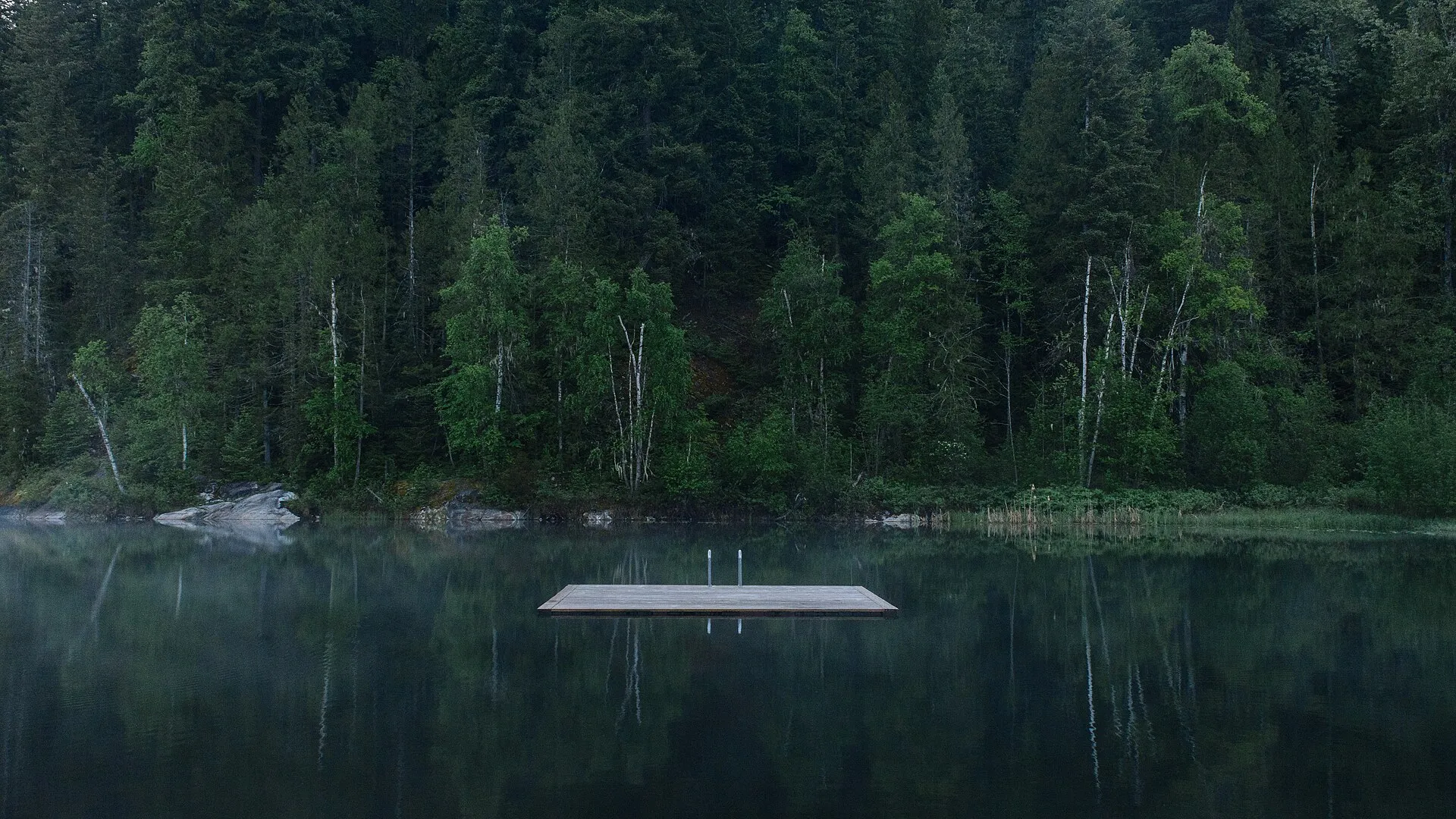 A still, misty lake below dark forest near Revelstoke, a swim dock floating in the middle